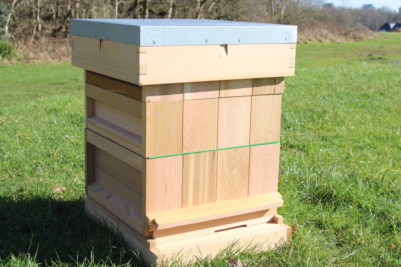 National Beehive made from high-quality cedar wood, fully assembled, ready for beekeeping, with flat roof, metal cover, Varroa mesh floor, wooden entrance block, supers, brood box, crown board, plastic queen excluder, and bee escapes