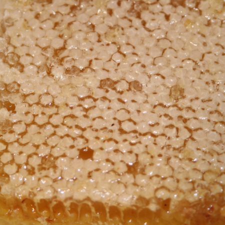 Raw honeycomb in food-grade container, hand-harvested, 600g
